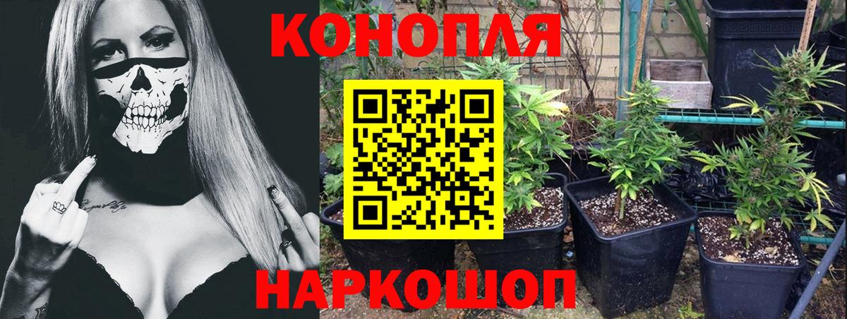 Канабис Ganja Юрга